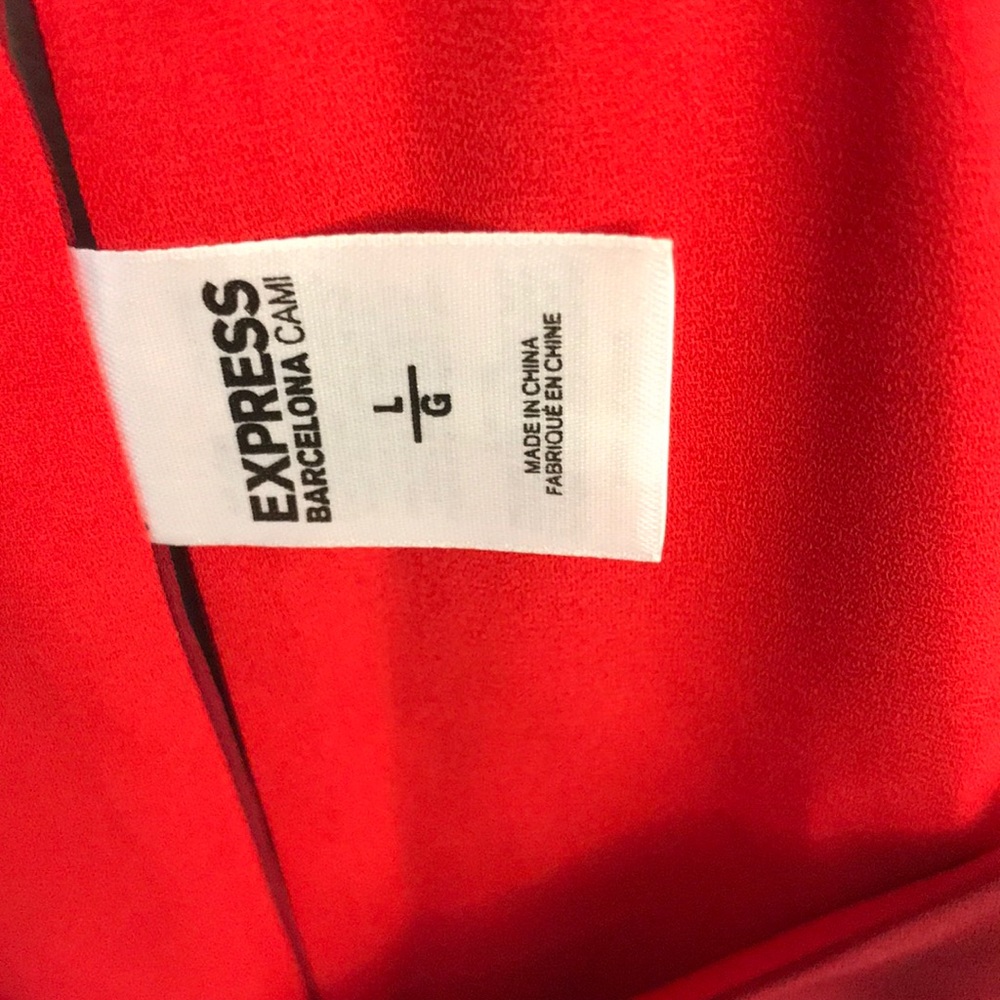 Express - Picture 4 of 5
